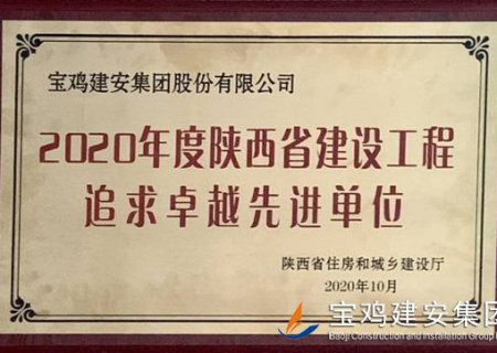 2020年度陕西省建设工程追求卓越先进单位