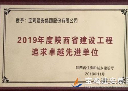 2019年度陕西省建设工程追求卓越先进单位